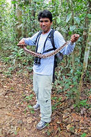 Our guide Juan Carlos with a rainbow boa he caught on the trail.jpg