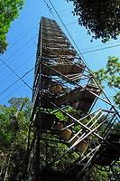 The 25 meter high jungle canopy tower.jpg