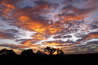 The Amazon sunrise was amazing.jpg