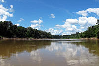 The muddy looking Tambopata River.jpg
