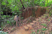 The trail leading up to the lodge.jpg