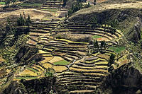 Closeup of the farming terraces