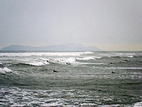 Surfers in the rough and cold Pacific.jpg