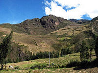 Inca Terraces.jpg
